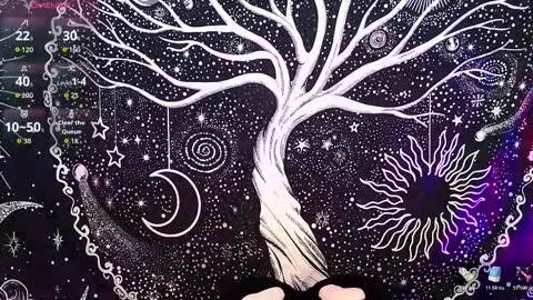 Snapshot of nyx_murtualer chatting on December 16, 3:00 am nyx murtualer online show from December 16, 3:00 am