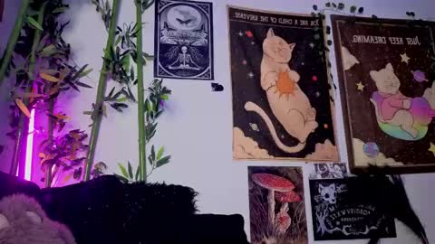   online show from April 21, 2:51 am