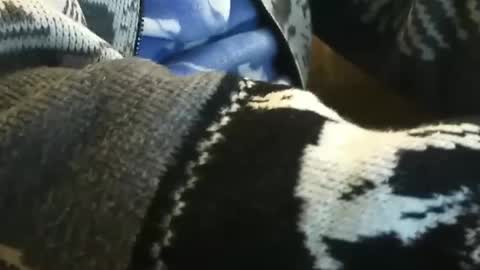 Snapshot of o0okukito0o chatting on January 14, 10:55 pm o0okukito0o online show from January 14, 10:55 pm