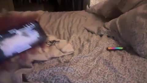 Snapshot of obiwand653040 chatting on November 4, 5:28 am obiwand653040 online show from November 4, 5:28 am