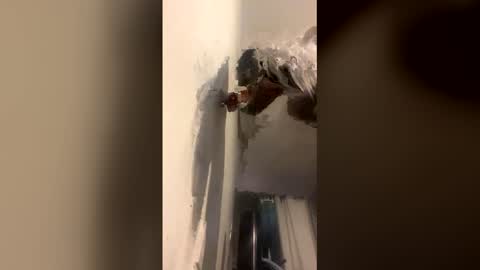 Kira online show from December 14, 9:03 am