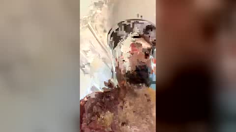 ogkftp online show from April 20, 1:58 pm