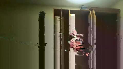 Dom online show from November 16, 7:25 am