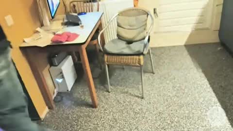 oldersagger online show from December 5, 5:09 pm