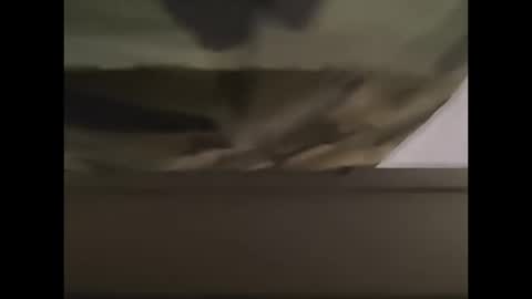 Snapshot of oneeyesnake1843142 chatting on October 12, 1:21 pm oneeyesnake1843142 online show from October 12, 1:21 pm