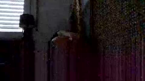 onlywholes online show from January 26, 9:08 am