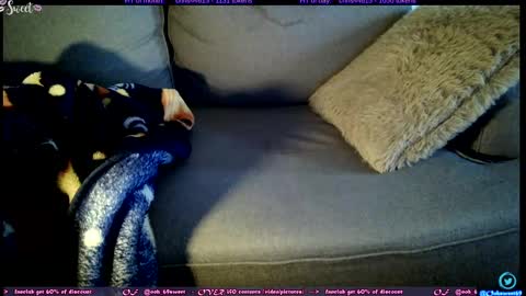  OF - Ooh 69sweet SNAP4LIFE OFFLINE  899 normal  VIP 1369 outside  online show from November 5, 1:00 pm