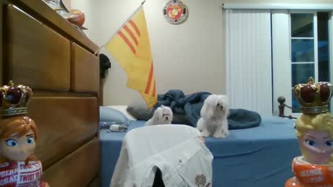 Snapshot of oorah1775 chatting on March 2, 2:10 pm oorah1775 online show from March 2, 2:10 pm