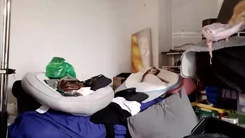 TsJojo online show from December 1, 9:36 am