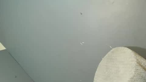 ARA online show from October 26, 1:50 pm