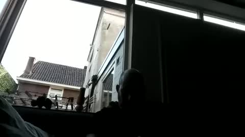 Openminded online show from December 23, 9:38 am