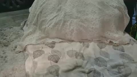 originalcali95 online show from March 15, 12:38 am