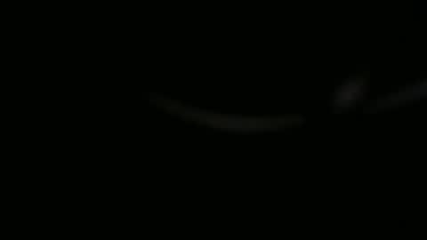 Ossi online show from November 1, 10:01 pm