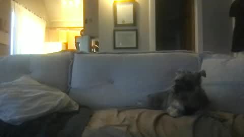 rossignol online show from February 27, 1:16 am