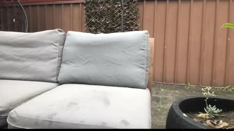 Snapshot of ozsurferboy773375 chatting on September 27, 12:59 am Hrny aussie surfer online show from September 27, 12:59 am