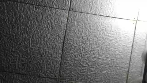 Superfeno online show from April 22, 5:10 am