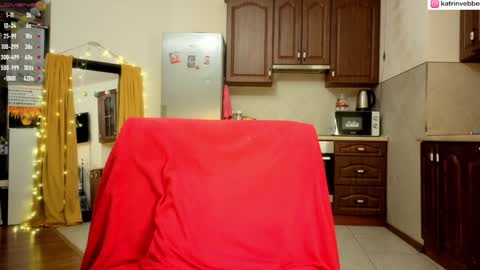 Snapshot of palach2323 chatting on January 29, 1:48 am Katrin Vebber online show from January 29, 1:48 am