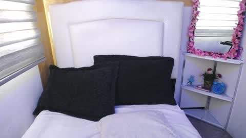 Snapshot of palmer_mix chatting on January 11, 12:40 pm Palmer online show from January 11, 12:40 pm