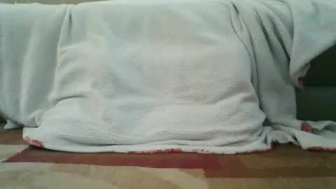 palmerwoodx online show from February 2, 5:33 pm