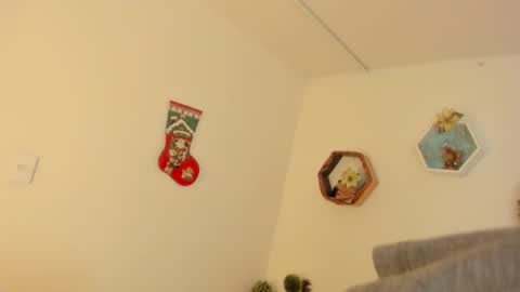 Paloma  online show from December 19, 8:27 pm