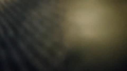 Snapshot of pals199301 chatting on November 23, 11:37 pm pals199301 online show from November 23, 11:37 pm