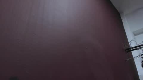 Snapshot of pamelaascott chatting on October 19, 4:24 am P A M online show from October 19, 4:24 am