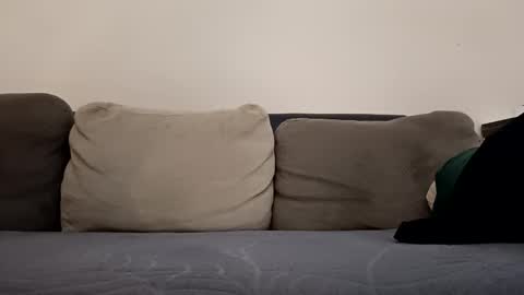 Snapshot of pamid215 chatting on October 12, 3:33 pm angel hris online show from October 12, 3:33 pm