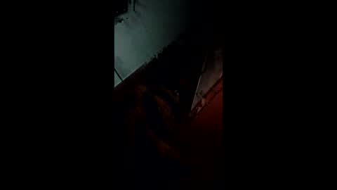 Snapshot of pamid215 chatting on November 9, 11:47 pm angel hris online show from November 9, 11:47 pm