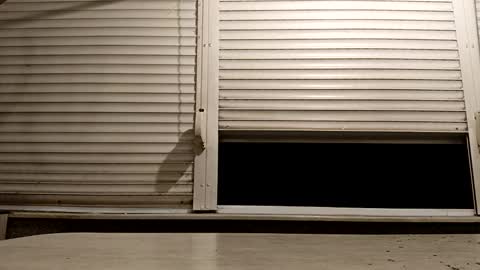 Snapshot of pamid215 chatting on November 24, 6:18 pm angel hris online show from November 24, 6:18 pm