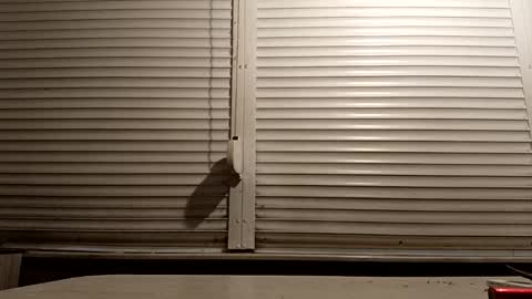 angel hris online show from January 14, 4:45 pm