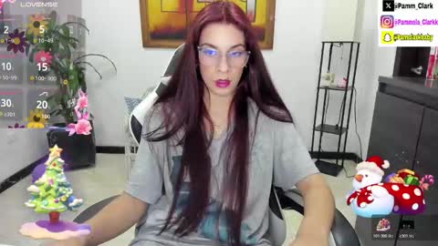 Snapshot of pammelaclark chatting on November 6, 2:34 am pammela clark online show from November 6, 2:34 am