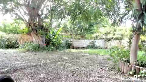 Snapshot of paoguerrax354 chatting on October 19, 6:41 pm paoguerrax354 online show from October 19, 6:41 pm