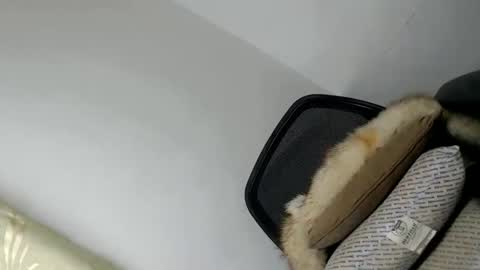 Snapshot of papigoddesslover chatting on January 20, 4:55 pm Fina Dwarf online show from January 20, 4:55 pm