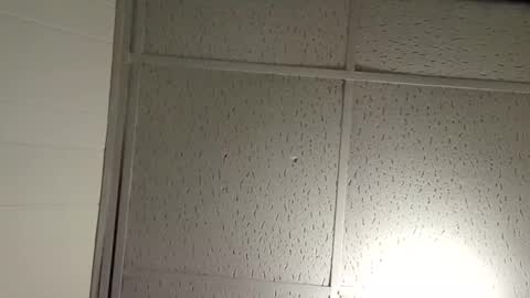 Snapshot of pato0008 chatting on November 19, 2:44 am JD online show from November 19, 2:44 am