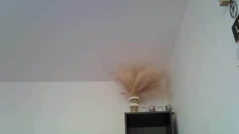 patrick5275 online show from December 16, 11:44 am