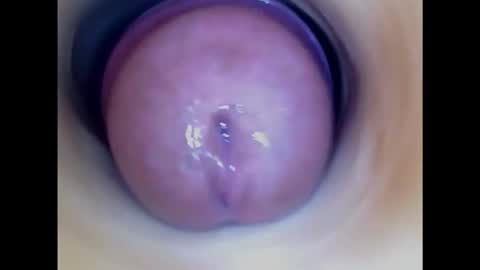 Paula 18 Aninhos online show from October 14, 6:20 pm