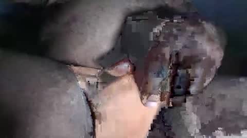 paulcockring online show from November 23, 4:34 am