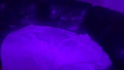 Snapshot of paybarbi chatting on November 16, 7:14 am paybarbi online show from November 16, 7:14 am