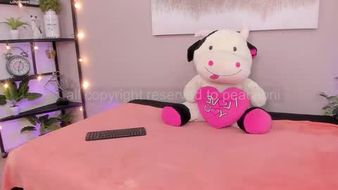 Briana online show from November 28, 1:47 pm