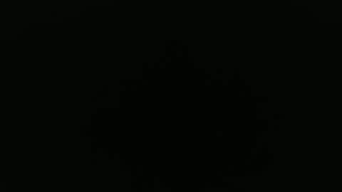 Alex online show from September 24, 8:28 am