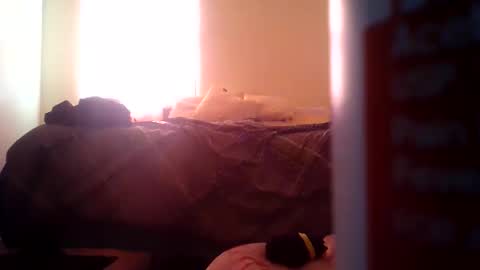 Snapshot of pebblessmith453 chatting on November 10, 2:49 pm pebblessmith453 online show from November 10, 2:49 pm