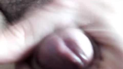 Snapshot of peiboluna chatting on February 11, 10:59 am peiboluna online show from February 11, 10:59 am