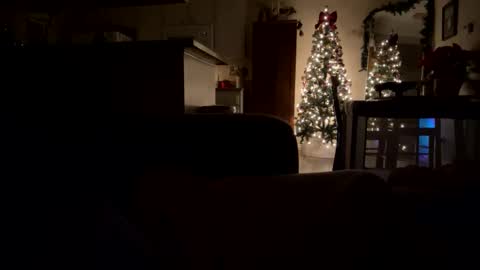 Snapshot of penessy47 chatting on December 19, 10:55 am penessy47 online show from December 19, 10:55 am