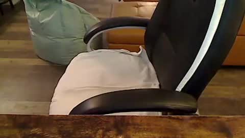 Snapshot of perfecto1957 chatting on November 6, 3:46 pm perfecto1957 online show from November 6, 3:46 pm