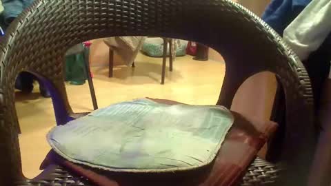 Snapshot of peta000007 chatting on December 4, 9:12 pm peta000007 online show from December 4, 9:12 pm