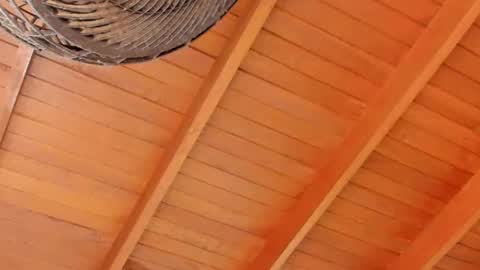 Snapshot of peter_jackson1 chatting on December 4, 11:57 pm peter jackson1 online show from December 4, 11:57 pm