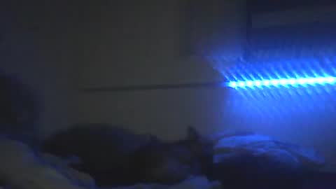 Pitsches online show from February 10, 3:10 am