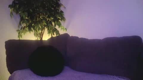 Snapshot of petite_treat_ chatting on December 19, 10:56 am petite treat online show from December 19, 10:56 am