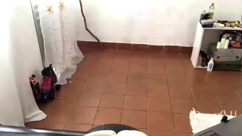 Mlian online show from April 15, 4:36 pm