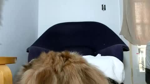 TheSkyeWoods online show from December 9, 5:52 pm